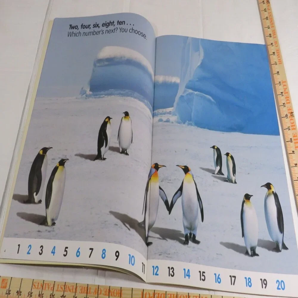 Skip Counting BIG BOOK (almost 2 feet tall) with teacher pages CLASSROOM SIZE